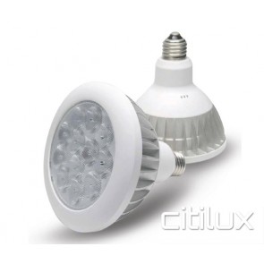 Dodeca PAR38 14.4W  LED Bulbs 